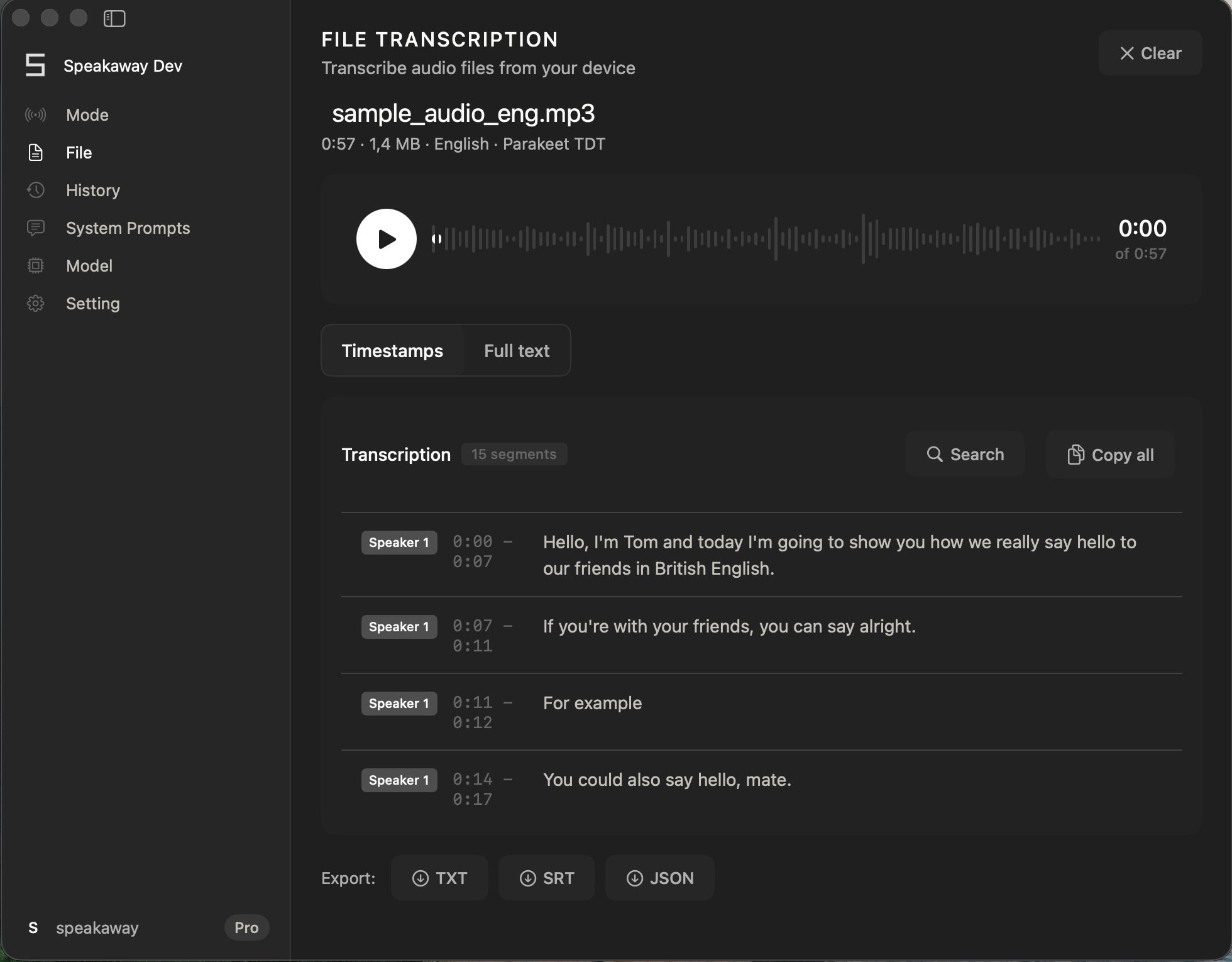 File transcription — speaker turns, timestamps, and TXT/SRT/JSON export